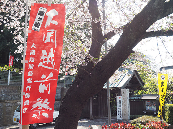伝統ある茅ヶ崎の大岡越前祭を楽しもう！