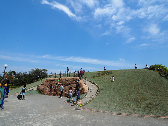 横須賀の海辺でのびのびと遊ぼう！うみかぜ公園のご紹介