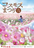 くりはま花の国 コスモスまつり