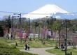 県立茅ヶ崎里山公園