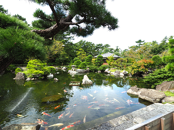 美しい日本庭園と黒松樹林。和の空間が広がる葉山しおさい公園を訪れよう