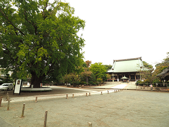 浮世絵に描かれる遊行寺橋、映画「アウトレイジビヨンド」にも登場する遊行寺。 昔も今も注目される藤沢市の遊行寺界隈