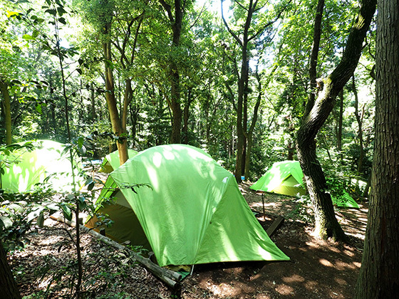 キャンプもできる、藤沢市少年の森に遊びに行こう