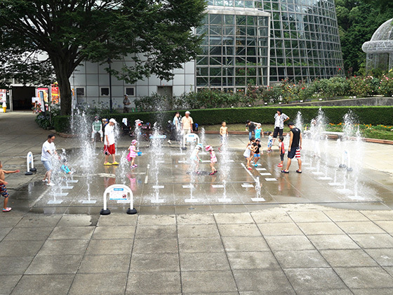 8月21日は噴水の日。踊る噴水とたくさんの花が楽しめる、小田原フラワーガーデンに遊びに行こう！