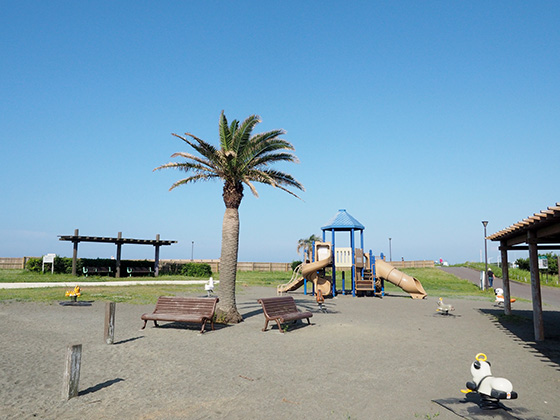 南国気分が味わえる 鵠沼の湘南海岸公園に遊びに行こう かなっぺ湘南版 出かけよう かながわの地域ポータルサイト For Smartphone