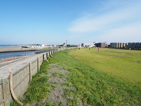 南国気分が味わえる 鵠沼の湘南海岸公園に遊びに行こう かなっぺ湘南版 出かけよう かながわの地域ポータルサイト For Smartphone